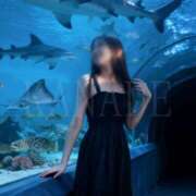 ヒメ日記 2025/11/27 10:00 投稿 かなで 角海老石亭