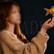 ヒメ日記 2025/11/27 11:30 投稿 かなで 角海老石亭