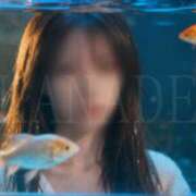 ヒメ日記 2025/11/27 14:00 投稿 かなで 角海老石亭