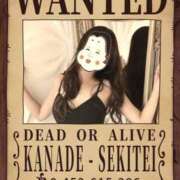 ヒメ日記 2025/12/03 15:00 投稿 かなで 角海老石亭