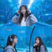 ヒメ日記 2025/11/30 08:00 投稿 かなで 角海老石亭