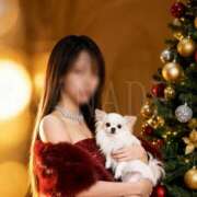 ヒメ日記 2025/12/02 23:00 投稿 かなで 角海老石亭