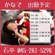 ヒメ日記 2025/12/13 15:00 投稿 かなで 角海老石亭