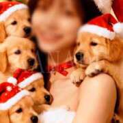 ヒメ日記 2025/12/19 23:30 投稿 かなで 角海老石亭