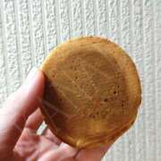 ヒメ日記 2026/01/11 12:00 投稿 かなで 角海老石亭