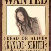 ヒメ日記 2026/02/04 15:00 投稿 かなで 角海老石亭