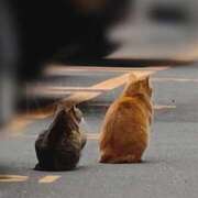 ヒメ日記 2026/02/03 12:00 投稿 かなで 角海老石亭