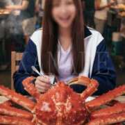 ヒメ日記 2026/02/04 12:12 投稿 かなで 角海老石亭