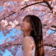 ヒメ日記 2026/03/08 22:00 投稿 かなで 角海老石亭