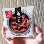 ヒメ日記 2026/03/13 12:00 投稿 かなで 角海老石亭