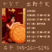 ヒメ日記 2026/03/29 15:00 投稿 かなで 角海老石亭