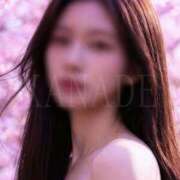 ヒメ日記 2026/03/24 09:10 投稿 かなで 角海老石亭