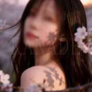 ヒメ日記 2026/04/02 07:30 投稿 かなで 角海老石亭