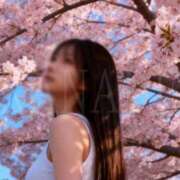 ヒメ日記 2026/04/03 16:45 投稿 かなで 角海老石亭