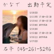 ヒメ日記 2026/05/16 15:00 投稿 かなで 角海老石亭