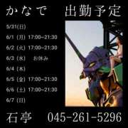 かなで 明日17時～ 出勤予定 角海老石亭