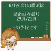 ヒメ日記 2026/06/19 05:00 投稿 かなで 角海老石亭