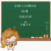 ヒメ日記 2026/06/20 05:00 投稿 かなで 角海老石亭