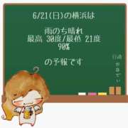 ヒメ日記 2026/06/21 05:00 投稿 かなで 角海老石亭