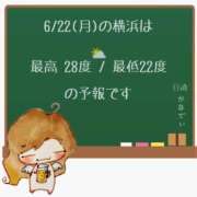 ヒメ日記 2026/06/22 05:00 投稿 かなで 角海老石亭