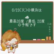 ヒメ日記 2026/06/23 05:00 投稿 かなで 角海老石亭