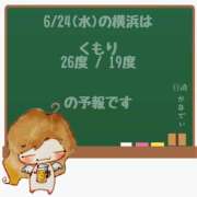 ヒメ日記 2026/06/24 05:00 投稿 かなで 角海老石亭