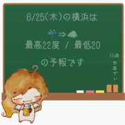 ヒメ日記 2026/06/25 07:00 投稿 かなで 角海老石亭