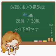 ヒメ日記 2026/06/26 05:00 投稿 かなで 角海老石亭