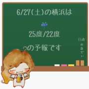ヒメ日記 2026/06/27 05:00 投稿 かなで 角海老石亭