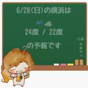 ヒメ日記 2026/06/28 05:00 投稿 かなで 角海老石亭