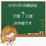 ヒメ日記 2026/06/29 05:00 投稿 かなで 角海老石亭