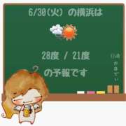 ヒメ日記 2026/06/30 05:00 投稿 かなで 角海老石亭