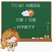 ヒメ日記 2026/07/01 05:00 投稿 かなで 角海老石亭