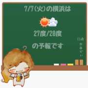 ヒメ日記 2026/07/07 05:00 投稿 かなで 角海老石亭