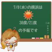 ヒメ日記 2026/07/08 05:00 投稿 かなで 角海老石亭