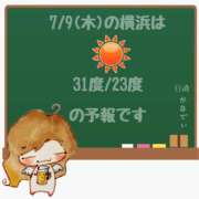 ヒメ日記 2026/07/09 05:00 投稿 かなで 角海老石亭