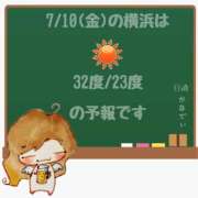 ヒメ日記 2026/07/10 05:00 投稿 かなで 角海老石亭