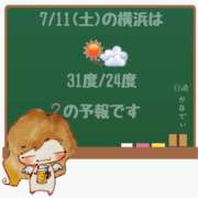 ヒメ日記 2026/07/11 05:00 投稿 かなで 角海老石亭