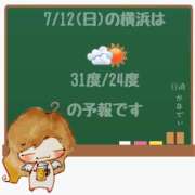 ヒメ日記 2026/07/12 05:00 投稿 かなで 角海老石亭