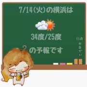 ヒメ日記 2026/07/14 05:00 投稿 かなで 角海老石亭