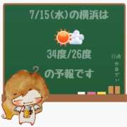 ヒメ日記 2026/07/15 05:00 投稿 かなで 角海老石亭