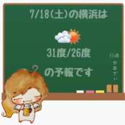 ヒメ日記 2026/07/18 05:00 投稿 かなで 角海老石亭
