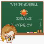ヒメ日記 2026/07/19 05:00 投稿 かなで 角海老石亭