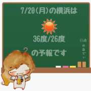 ヒメ日記 2026/07/20 05:00 投稿 かなで 角海老石亭