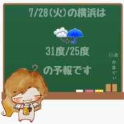 ヒメ日記 2026/07/28 05:00 投稿 かなで 角海老石亭