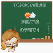 ヒメ日記 2026/07/30 05:00 投稿 かなで 角海老石亭