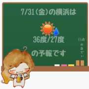ヒメ日記 2026/07/31 05:00 投稿 かなで 角海老石亭