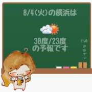 ヒメ日記 2026/08/04 05:00 投稿 かなで 角海老石亭