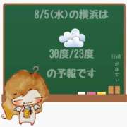 ヒメ日記 2026/08/05 05:00 投稿 かなで 角海老石亭