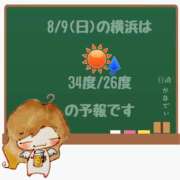 ヒメ日記 2026/08/09 05:00 投稿 かなで 角海老石亭